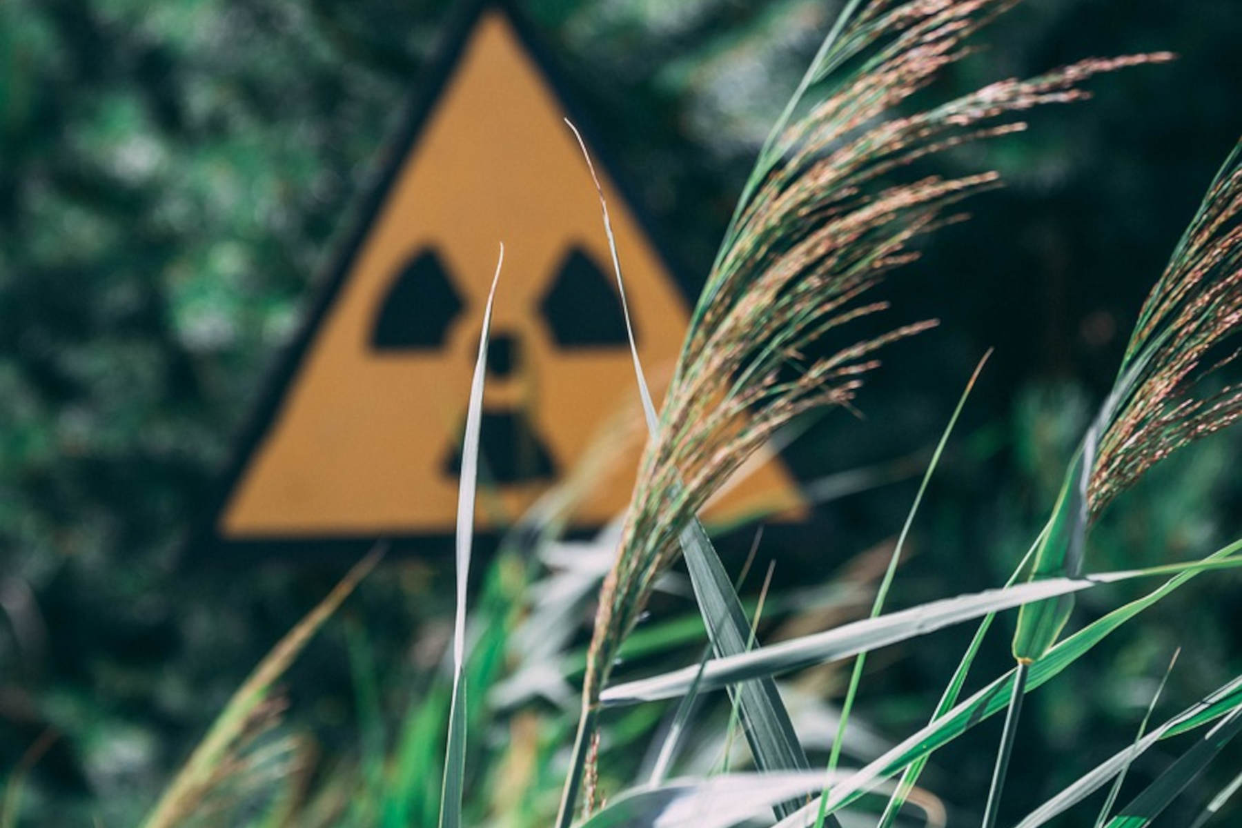 Corso FAD L'esposizione alle radiazioni durante un'emergenza radiologica