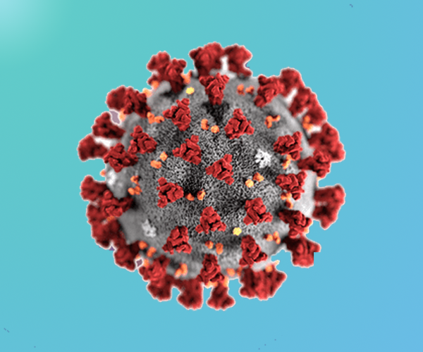 Corso FAD Malattie respiratorie emergenti: il nuovo coronavirus (SARS-CoV-2)