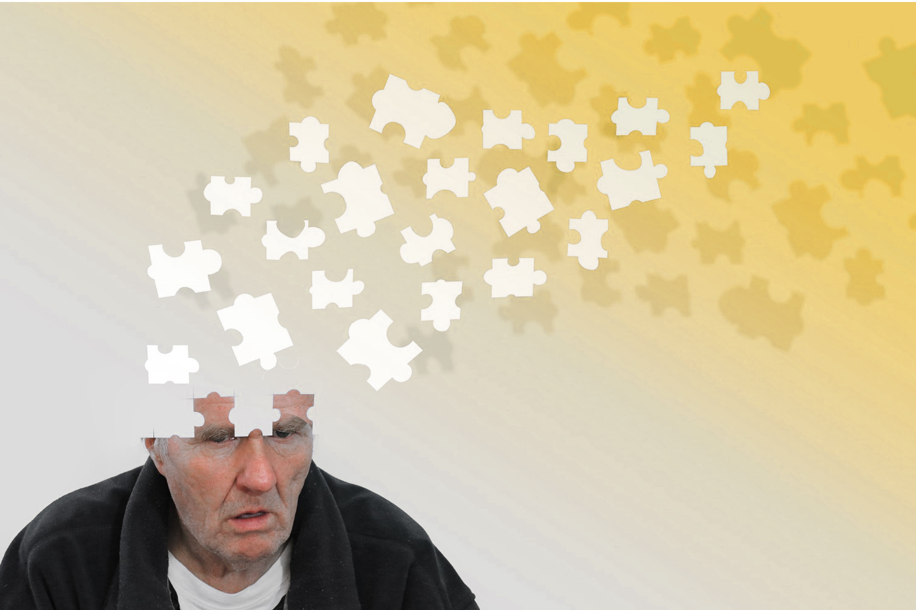Corso FAD Alzheimer: Introduzione all'Approccio Capacitante CORSO NON ECM 